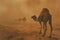 Camel caravan through the sahara desert .Generative Ai