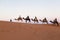 Camel caravan at sahara desert, Morocco