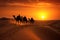 Camel caravan in the Sahara desert at sunset, Morocco, Africa, Camel caravan on sand dunes in the Arabian desert with the Dubai