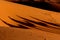 Camel caravan shadow trekking in the Sahara desert