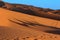 Camel caravan shadow trekking in the Sahara desert