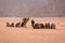 A camel caravan stopped at a halt in the middle of the desert in the background yellow-brown mountains