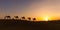 Camel Caravan in the Thar Desert