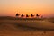 Camel caravan with tourists at sunset in Arabian Dessert