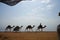 A camel caravan walks along the beach with the Gulf of Aqaba in the Red Sea in the background. Dahab, Egypt