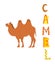 Camel card. Postcard template with lettering.