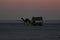 Camel cart at Rann of Kutch during dawn - Rann utsav - white desert - Gujarat tourism - India travel