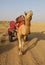 The Camel with Cart at Thar Desert.