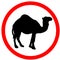 Camel caution red circle warning road sign, isolated on white background