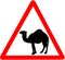 Camel caution red triangular warning road sign, isolated on white background.