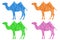 Camel. Colored set. Polygonal vector illustration