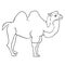 Camel coloring smiling a cartoon. Vector illustration