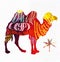 Camel with creative lettering, vector image