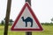 Camel crossing road sign with green grass background, beware of camels road sign - Image