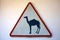 Camel Crossing Sign