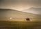 Camel crossing vast landscape with yurt & x28;ger& x29; and mountains in background