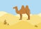 Camel desert habitat flat design cartoon vector wild animals