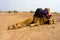 A camel in Desert,Jaisalmer, India