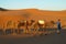 Camel driver in african desert