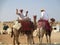 Camel drivers at Giza plateau Egypt