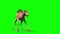 Camel Dromedary Attacks Front Green Screen Loop Desert 3D Rendering Animation