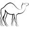 Camel Dromedary Outline Design