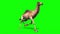 Camel Dromedary Runcycle Green Screen Loop Desert 3D Rendering Animation