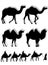 Camel and dromedary silhouettes