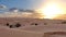 Camel among the dunes in the Sahara Desert at sunset