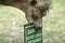 Camel eating danger sign Cotswold Wild life park