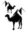 Camel and egyptian pyramids black vector design