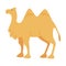 Camel Even-toed Ungulate as Traditional Istanbul Symbol Vector Illustration