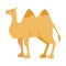 Camel Even-toed Ungulate as Traditional Istanbul Transport Vector Illustration