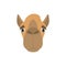 Camel face in cartoon style for children.