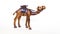 Camel figurive