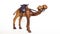 Camel figurive