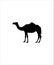 Camel flat icon,camel animal best illustration design icon.