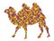 Camel  with flowers.