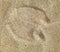 Camel foot prints in sand desert