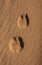 Camel foot prints in Wadi Rum desert