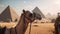 Camel in front of pyramids. Travel Concept. Background with a copy space.