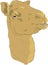 Camel Head Illustration