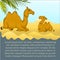 A camel with her calf . Cartoon funny camel sitting on sand, spiking and smiling to her baby camel. Can be used for kids books.Kid