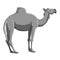 Camel icon, gray monochrome style