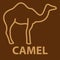 Camel icon in linear style