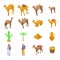 Camel icons set, isometric style