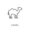 Camel linear icon. Modern outline Camel logo concept on white ba