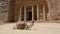 Camel looks at camera near front of Petra Treasury