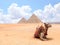 Camel lying on the sand near to pyramids, Giza, Cairo, Egypt. Famous Great Pyramids of Chephren and Cheops, Egypt