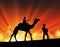 Camel and man silhouette desert festival sun light rays